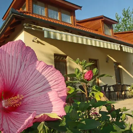 Panzió Relaxo Apartmanház *