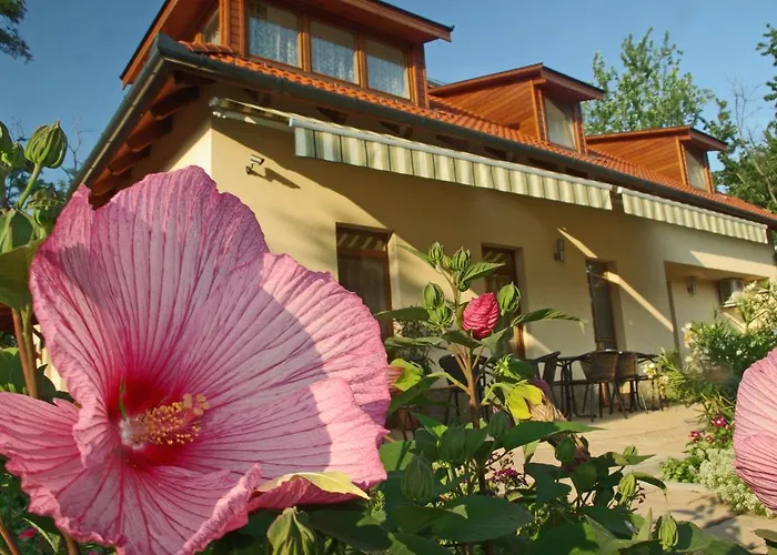 Bed & Breakfast Relaxo Apartmanhaz *